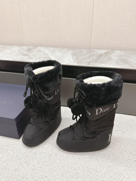 Dior Shoe 